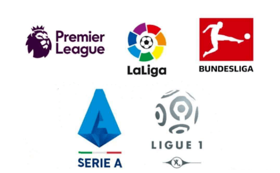 还为鸟类保 还为鸟类保